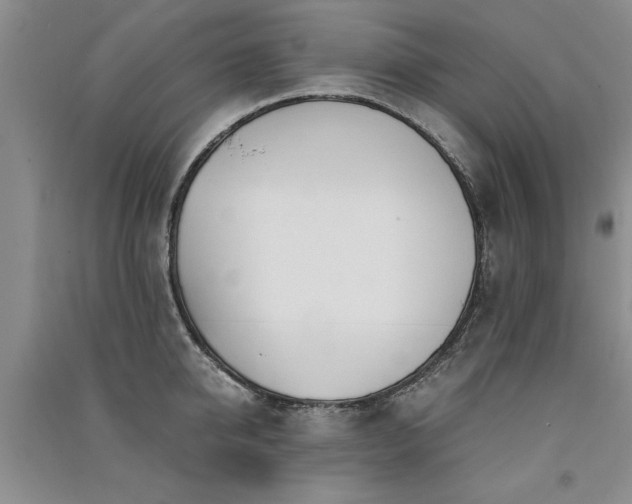 X0000091520950200708171214