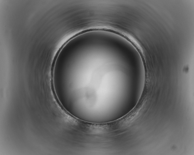 X0000091520951200708171214