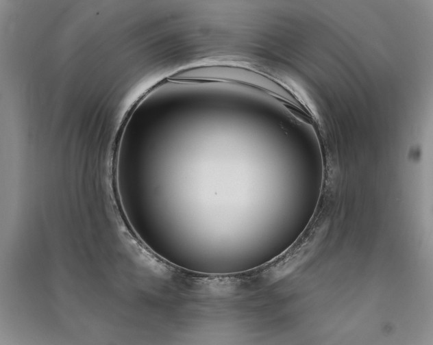 X0000091520952200708171214
