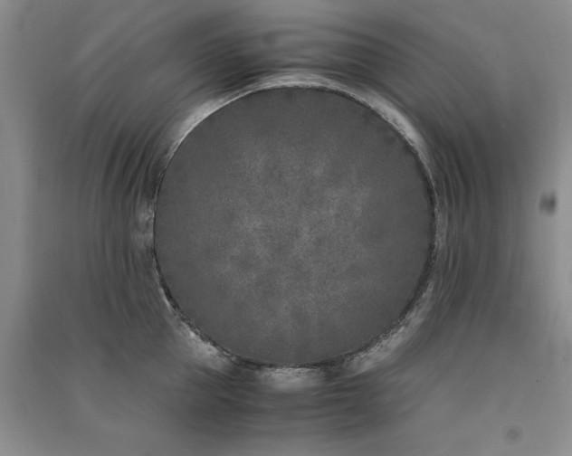 X0000091520953200708171214