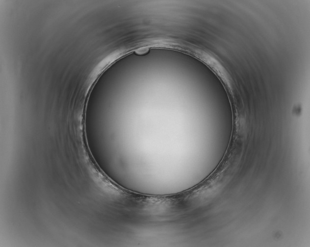 X0000091520954200708171214