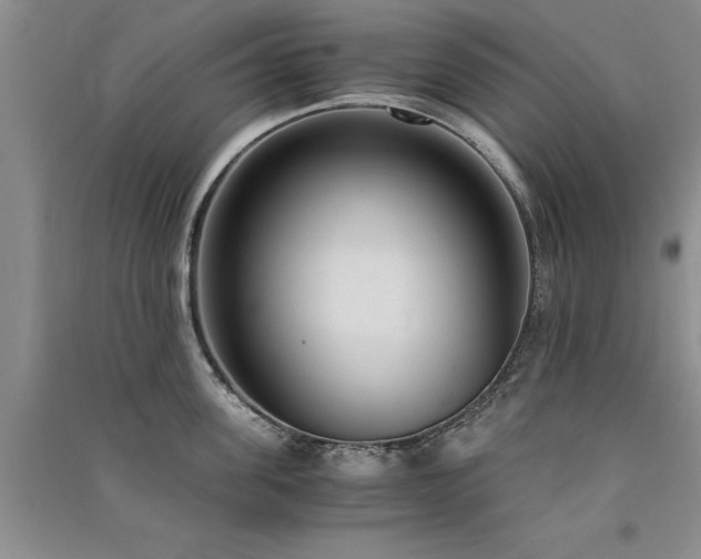 X0000091520955200708171214