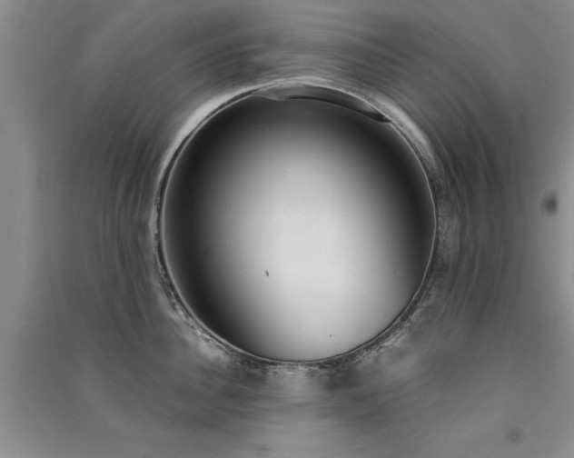 X0000091520956200708171214
