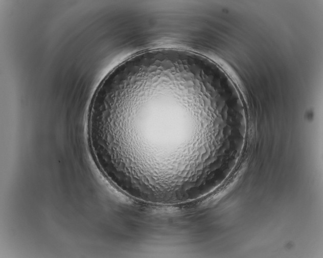 X0000091520957200708171214