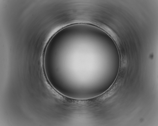 X0000091520958200708171214
