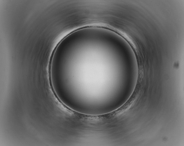 X0000091520959200708171214