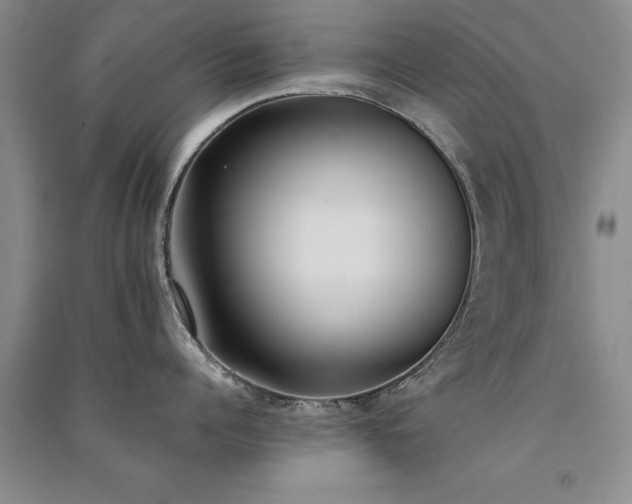 X0000091520960200708171214