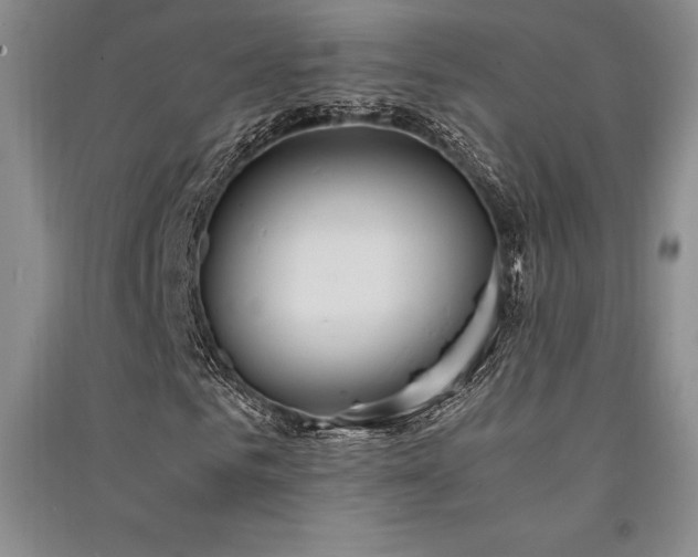 X0000091520961200708171213