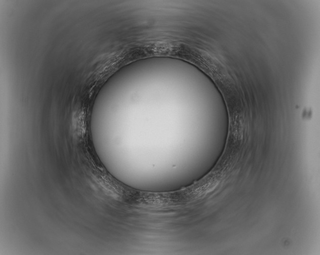 X0000091520962200708171213