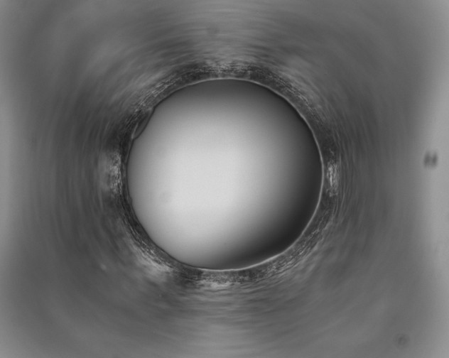 X0000091520963200708171213