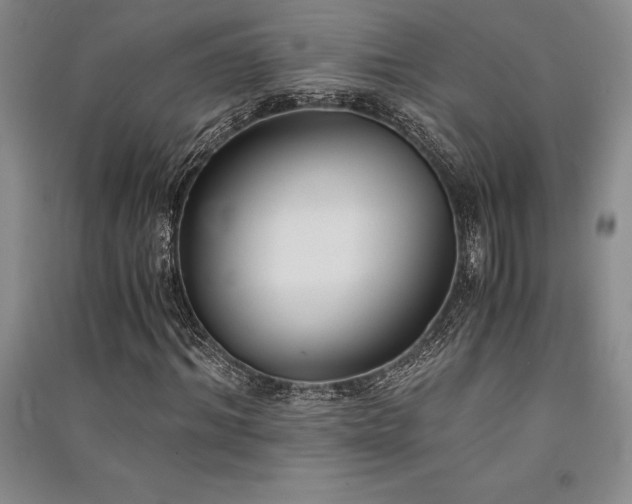 X0000091520964200708171213