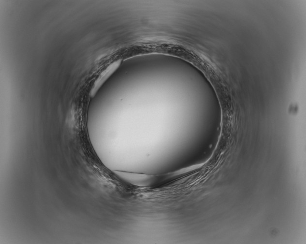 X0000091520965200708171213