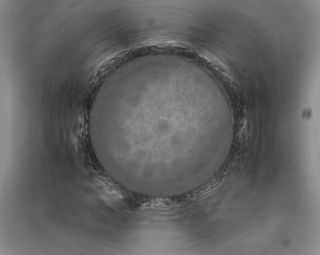 X0000091520966200708171213