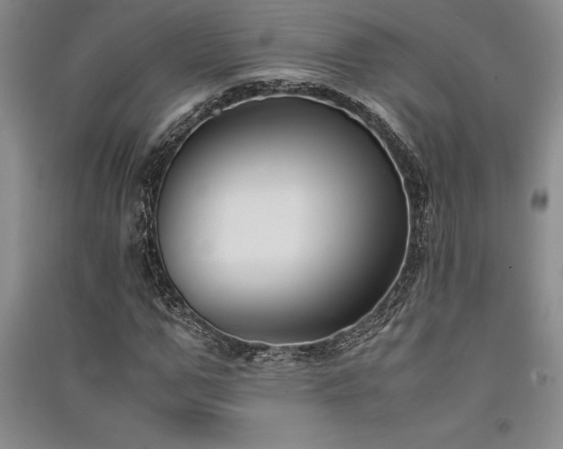 X0000091520967200708171213