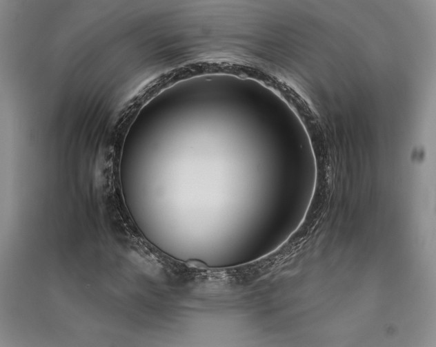 X0000091520968200708171213