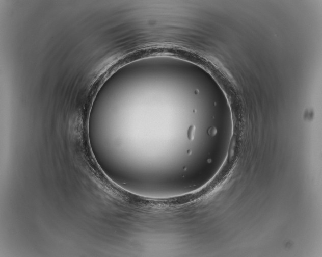 X0000091520969200708171213