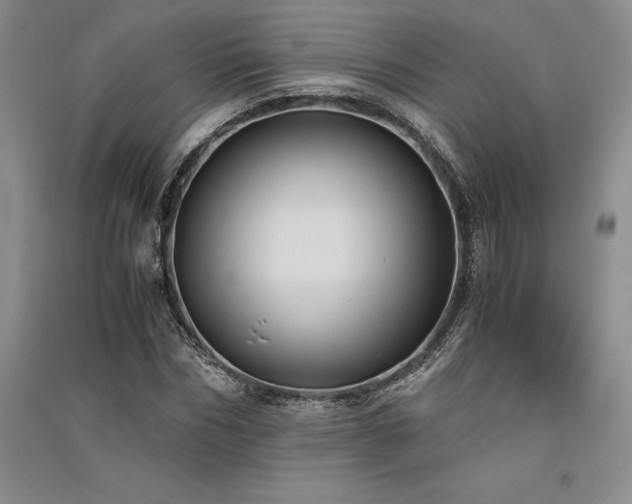 X0000091520970200708171213
