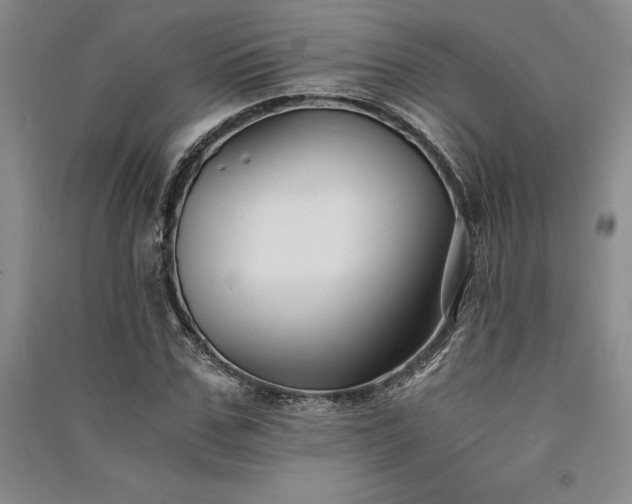 X0000091520971200708171213