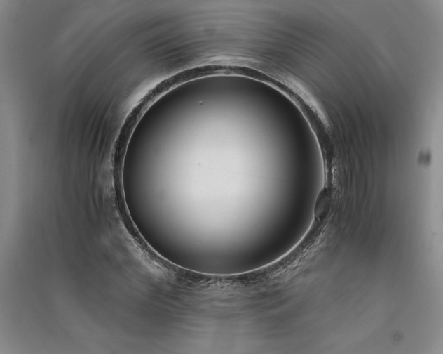 X0000091520972200708171213