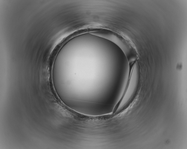 X0000091520973200708171213