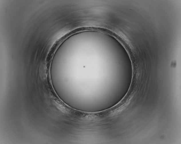 X0000091520974200708171213