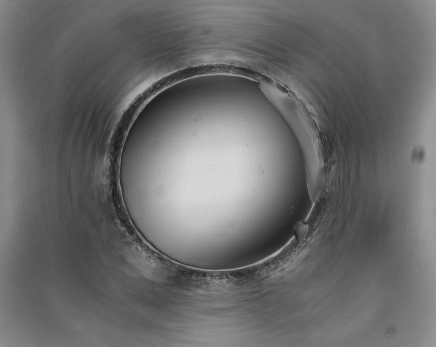 X0000091520975200708171213