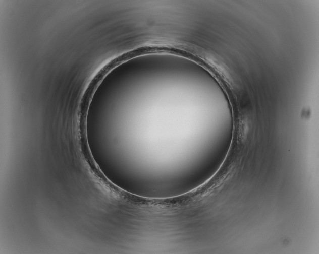 X0000091520976200708171213