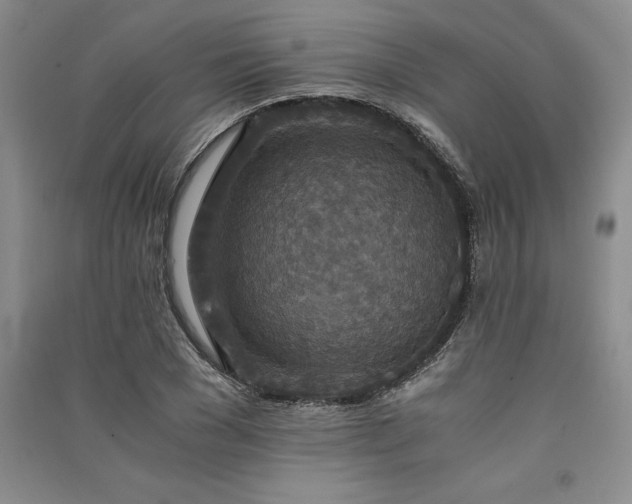 X0000091520977200708171213