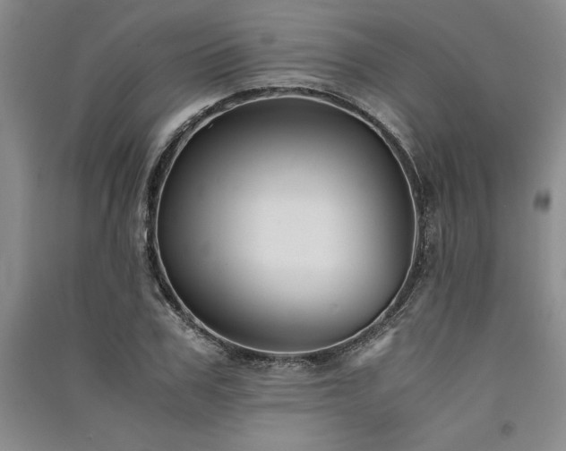 X0000091520979200708171213