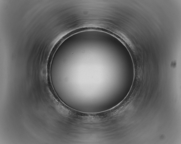 X0000091520980200708171213