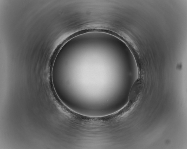 X0000091520981200708171213