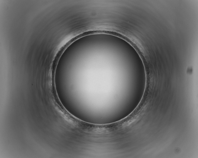 X0000091520982200708171213
