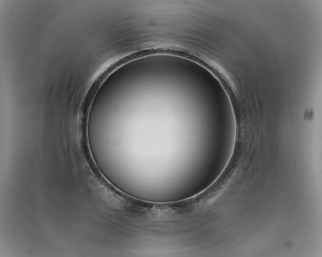 X0000091520983200708171213