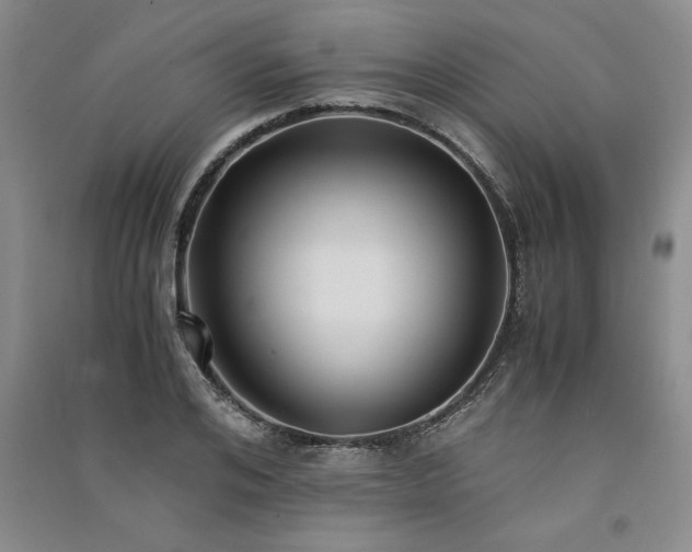 X0000091520984200708171213