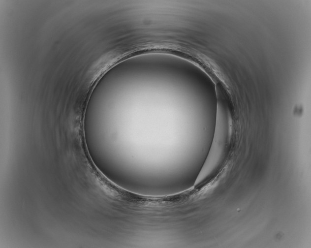 X0000091520985200708171213