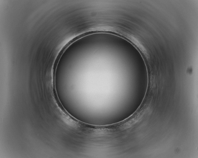 X0000091520988200708171213