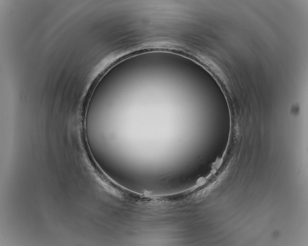 X0000091520989200708171213