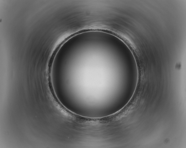 X0000091520990200708171213