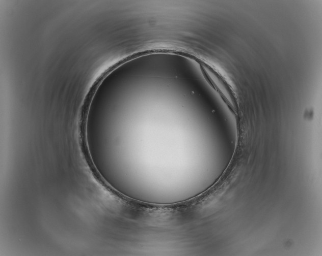 X0000091520991200708171213