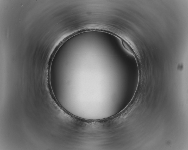 X0000091520992200708171213