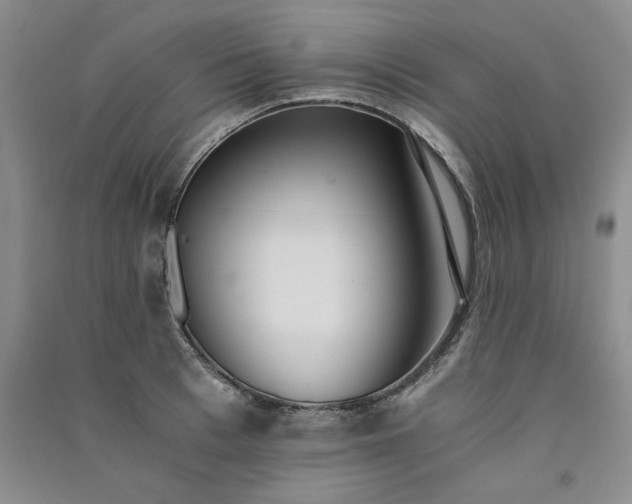 X0000091520993200708171213