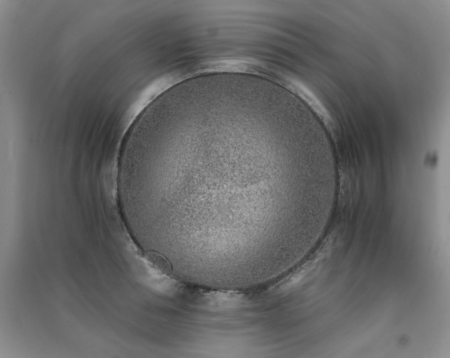 X0000091520994200708171213