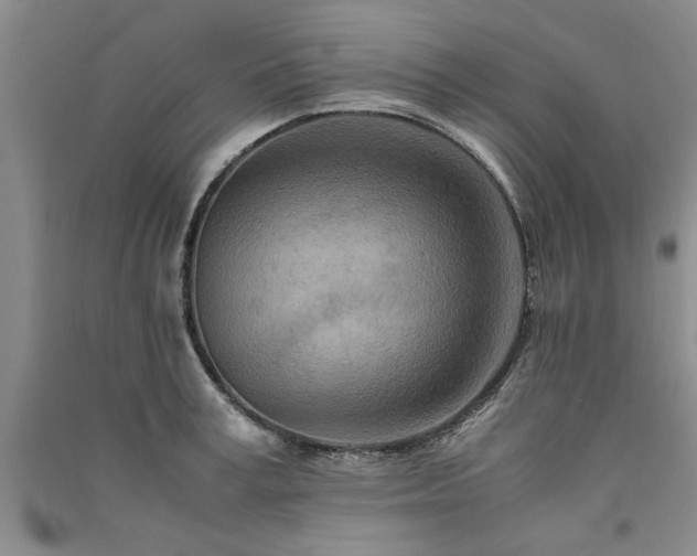 X0000091520995200708171213