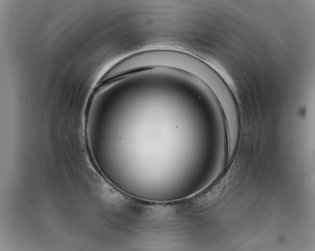X0000091520996200708171213