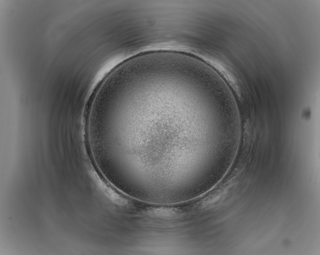 X0000091520998200708171213