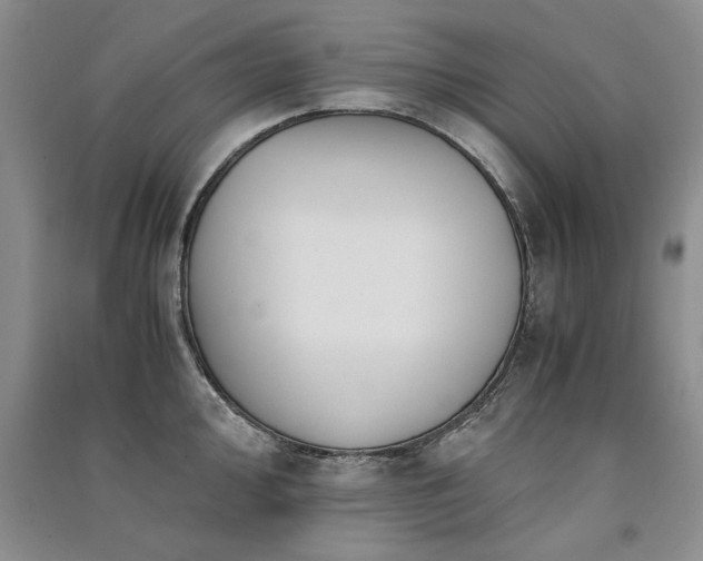 X0000091521000200708171213