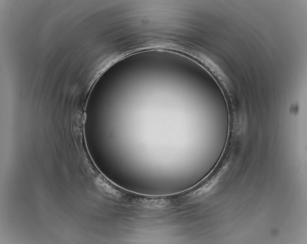X0000091521001200708171213