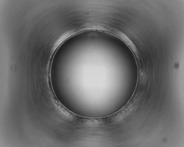 X0000091521002200708171213