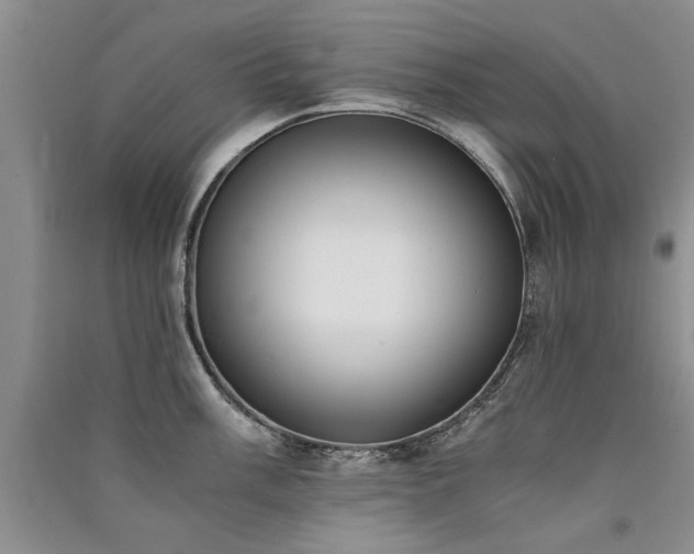 X0000091521003200708171213
