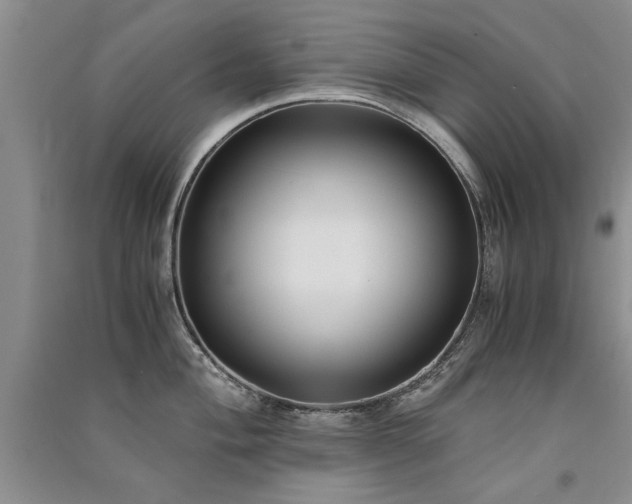 X0000091521004200708171213